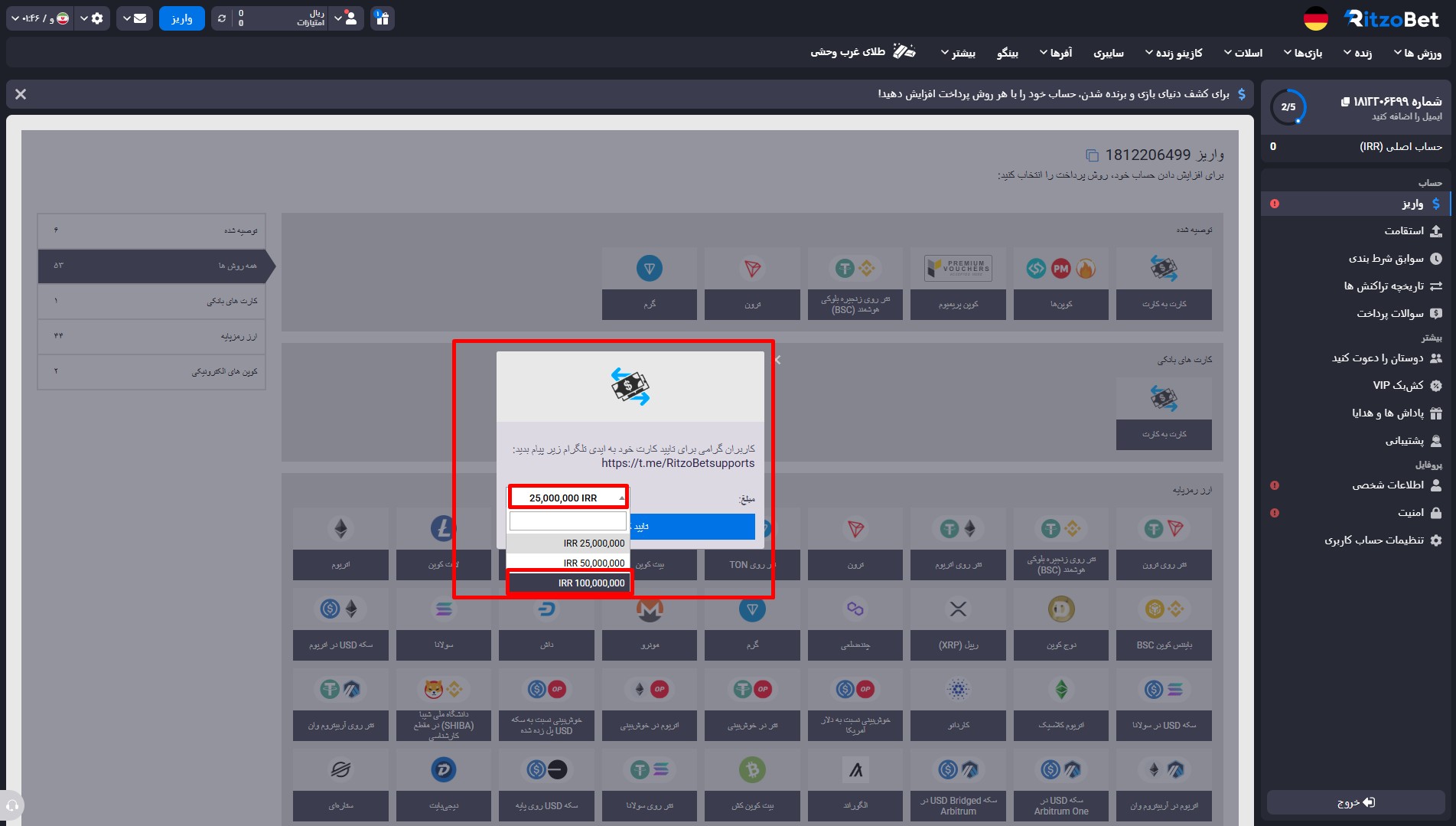 شارژ حساب در سایت ریتزو بت